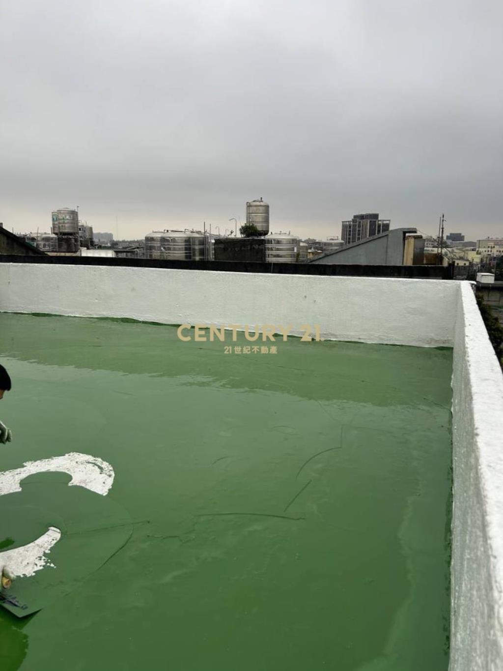 獅子林無敵開放式大空間加2衛