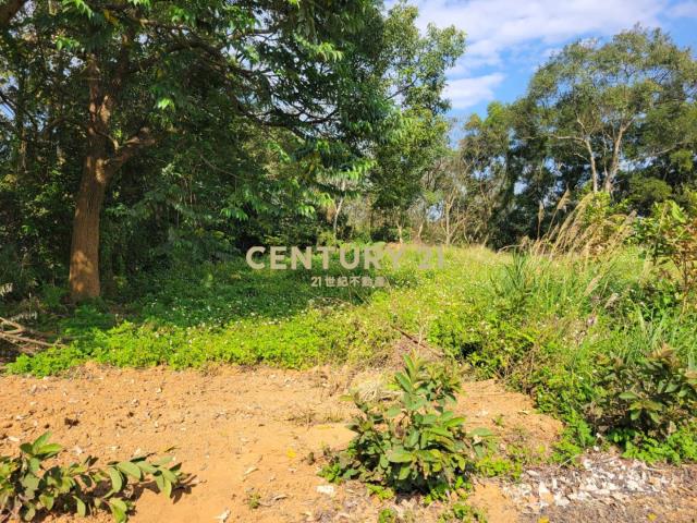 獨家專賣高原國小旁小坪數雙面路一般美田