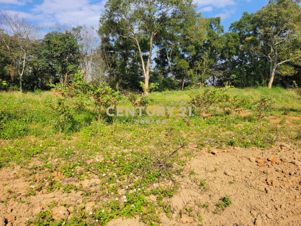 獨家專賣高原國小旁小坪數雙面路一般美田