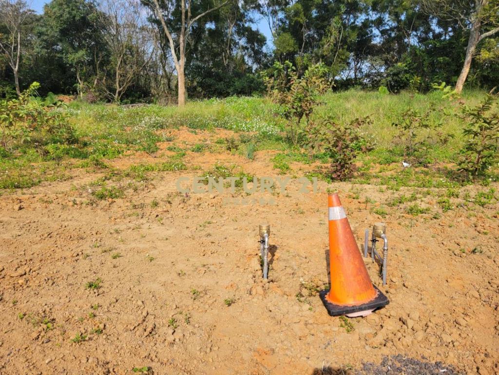 獨家專賣高原國小旁小坪數雙面路一般美田