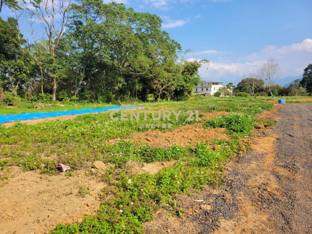 獨家專賣高原國小旁小坪數雙面路一般美田