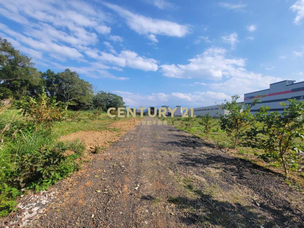 獨家專賣高原國小旁小坪數雙面路一般美田