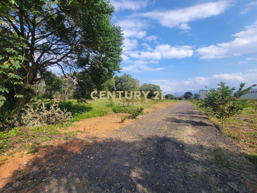 獨家專賣高原國小旁小坪數雙面路一般美田