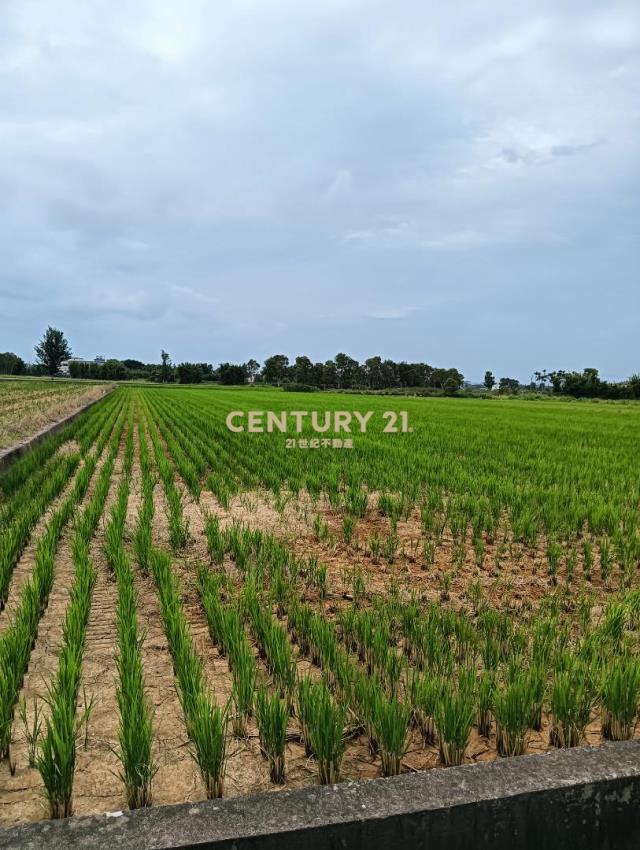 新屋區新湖路大坡段農地