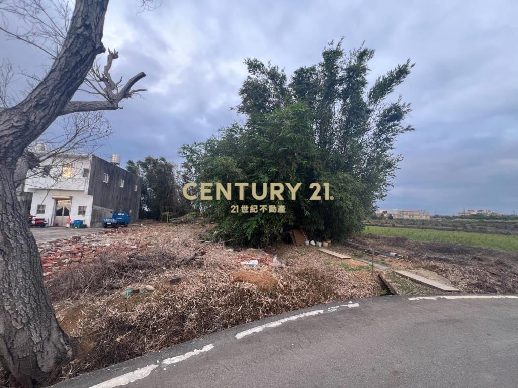 觀音近66超值甲建