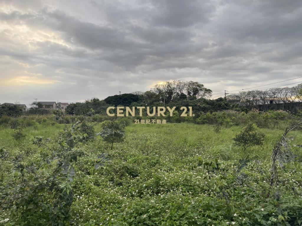 正新生路都內農