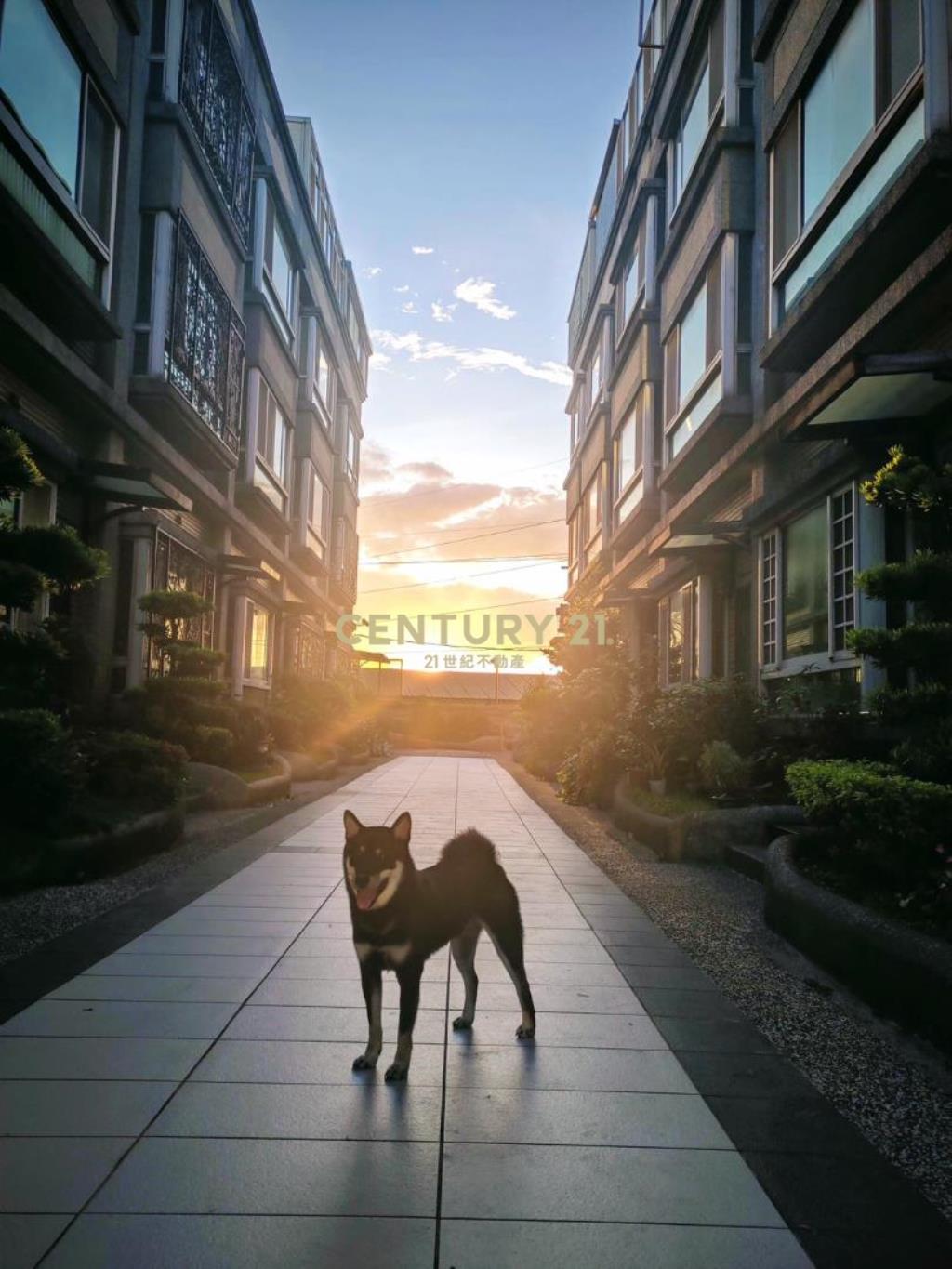 獨家銷售-中壢福鎮二期精美裝潢大車位別墅