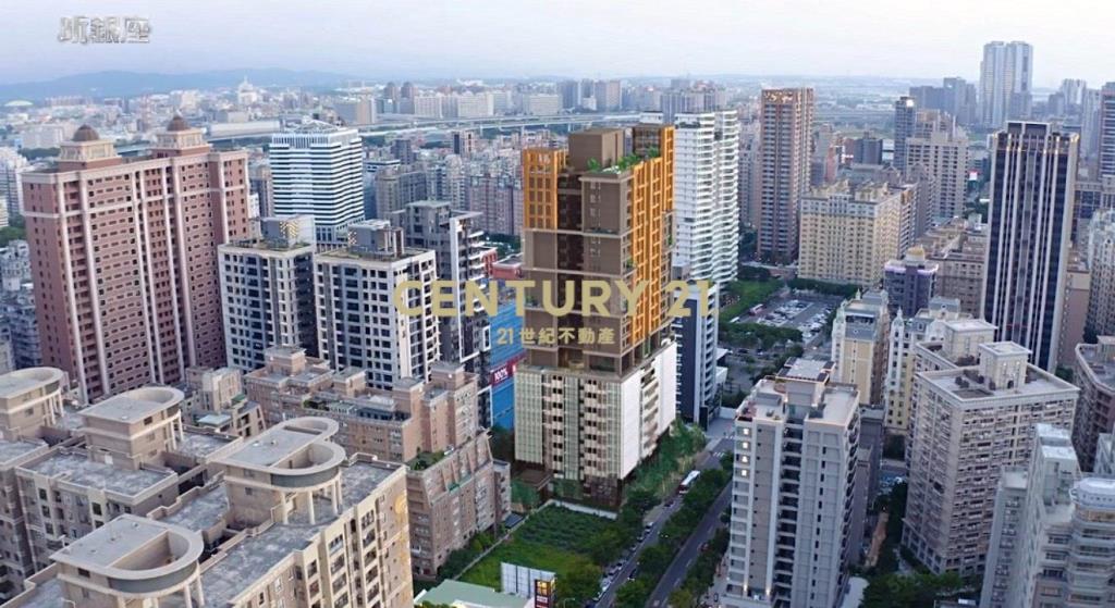 林口A9家樂福亞昕昕銀座次頂層邊間3房車