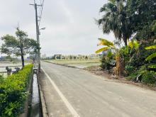 專任近湖口交流道555美農地