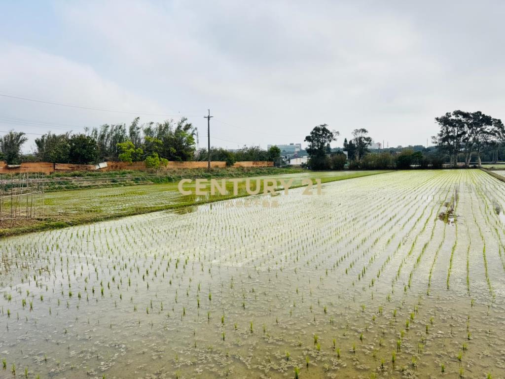 專任近湖口交流道555美農地