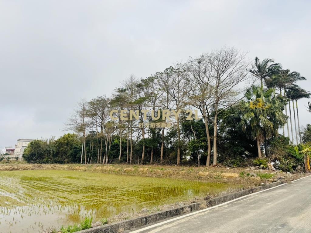 專任近湖口交流道555美農地