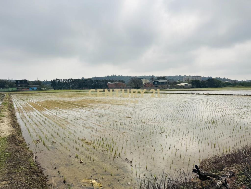 專任近湖口交流道555美農地
