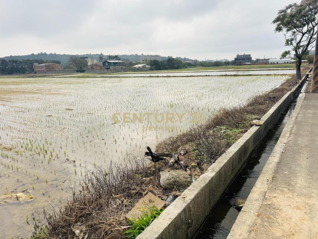 專任近湖口交流道555美農地