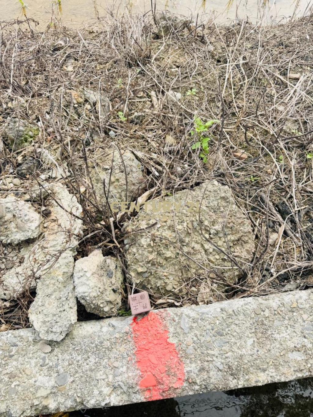 專任近湖口交流道555美農地