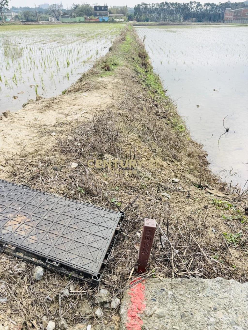 專任近湖口交流道555美農地