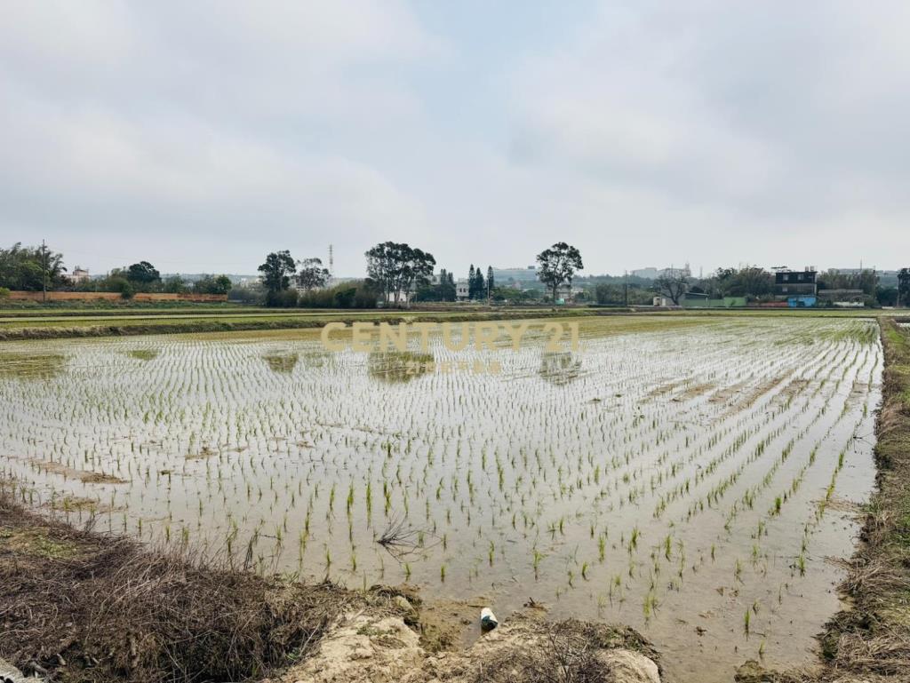 專任近湖口交流道555美農地