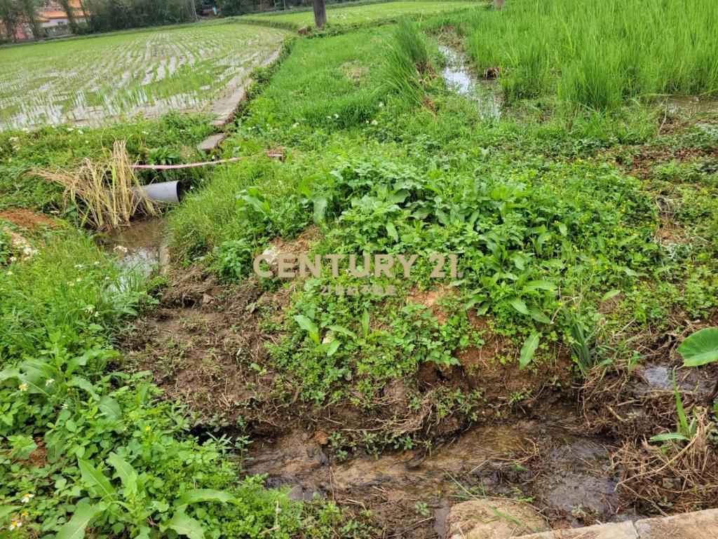 平鎮近大全聯賣場/小坪數都內農