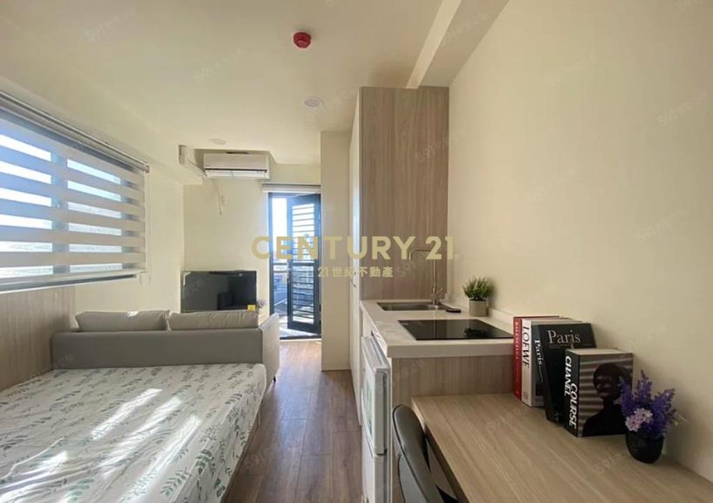 台中北區面公園全新精裝雙套房+專用大露臺