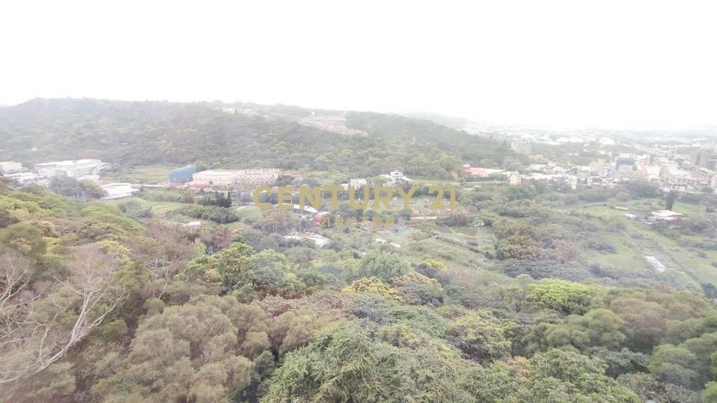 楊梅台北亞熱帶凱薩區美三房車