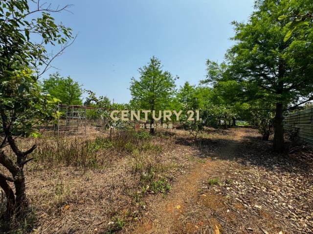 龍潭龍路旁 757坪美農地