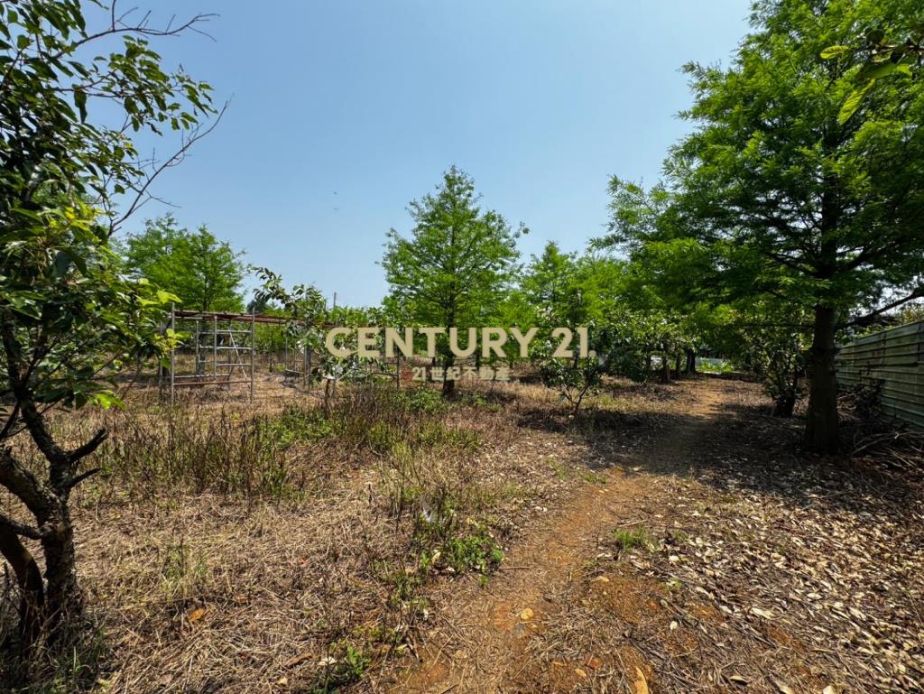 龍潭龍路旁 757坪美農地