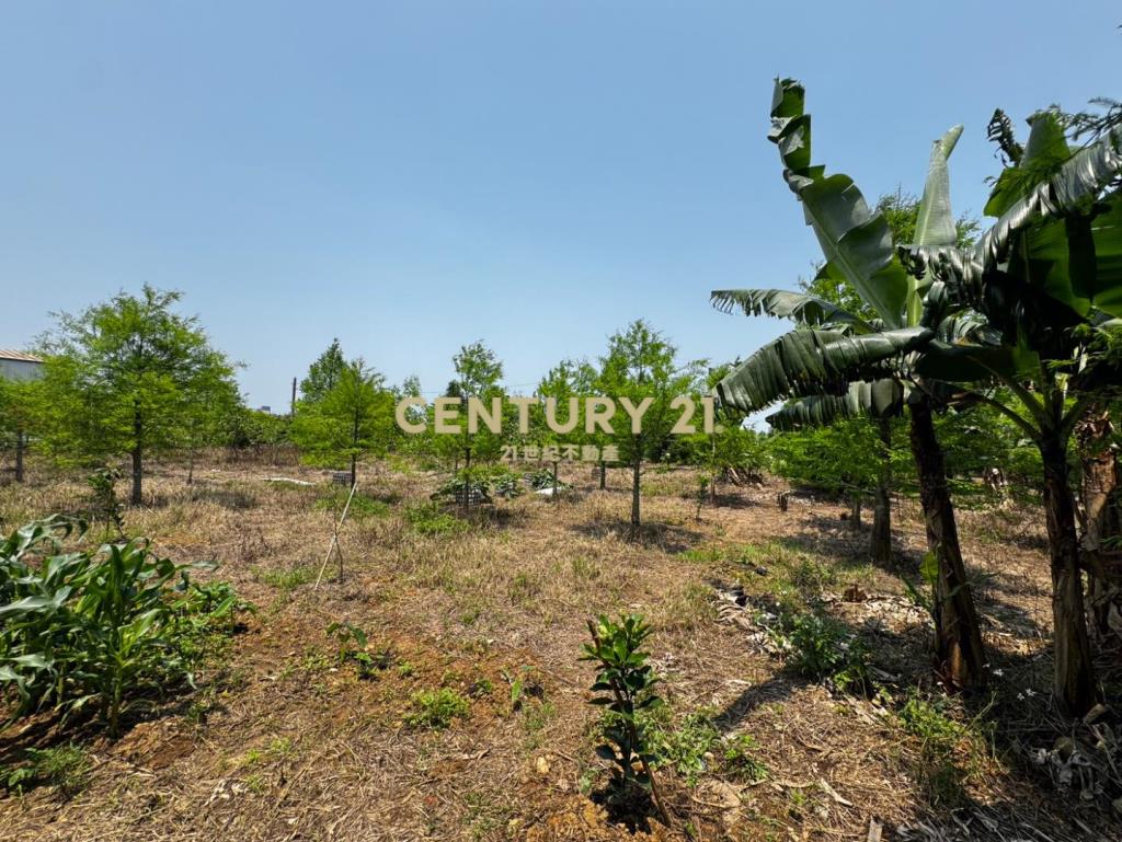 龍潭龍路旁 757坪美農地