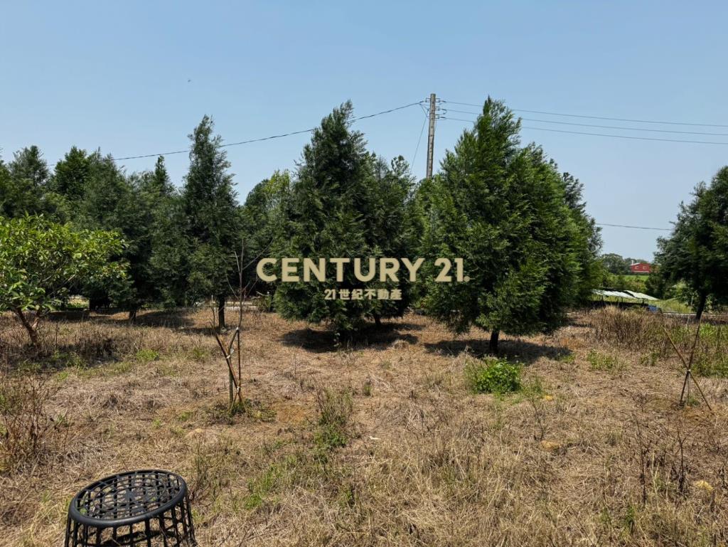 龍潭龍路旁 757坪美農地