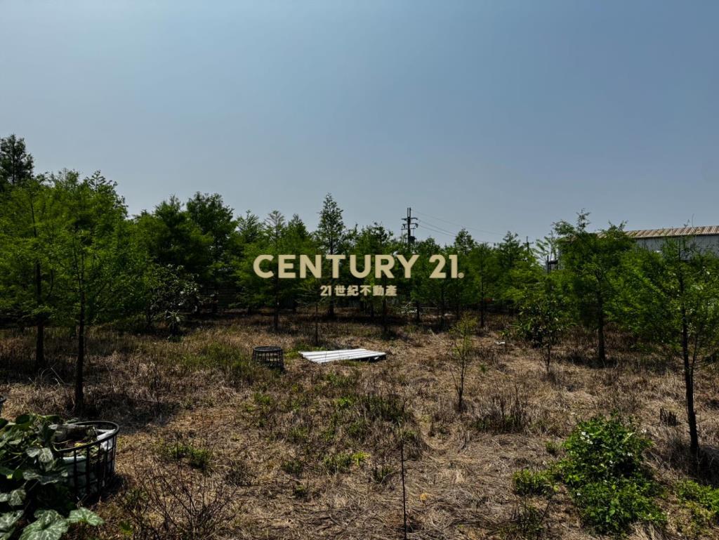 龍潭龍路旁 757坪美農地