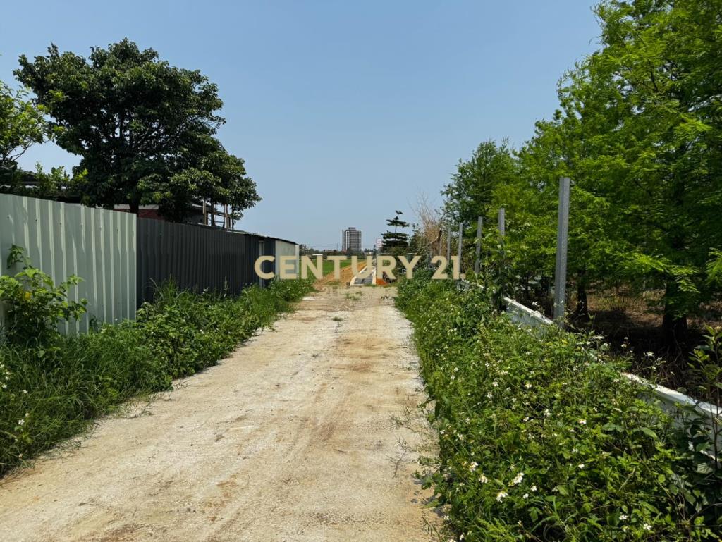 龍潭龍路旁 757坪美農地