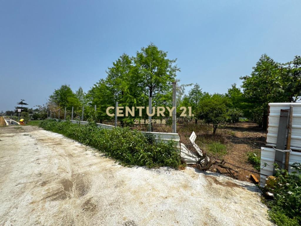 龍潭龍路旁 757坪美農地