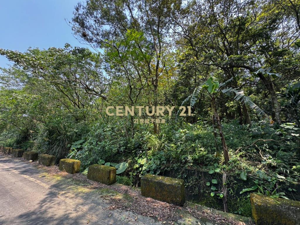 龍潭高原交流道 千坪超值農地