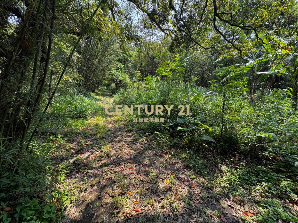 龍潭高原交流道 千坪超值農地