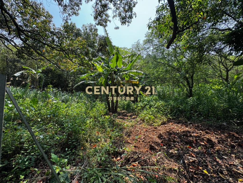 龍潭高原交流道 千坪超值農地