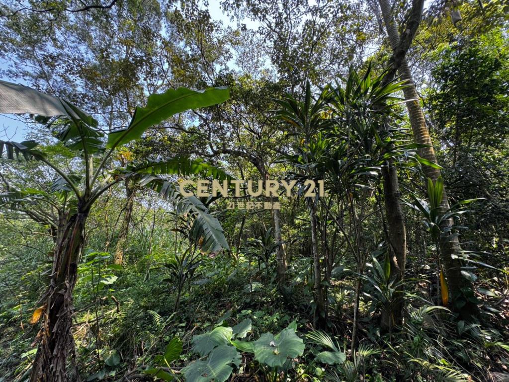 龍潭高原交流道 千坪超值農地