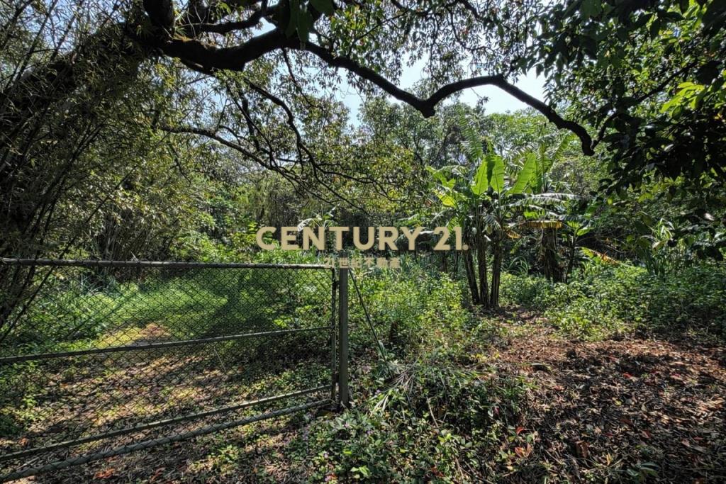 龍潭高原交流道 千坪超值農地