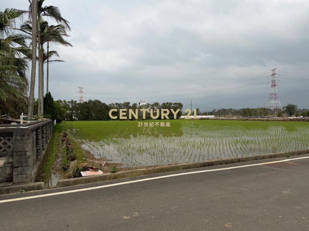 新屋區石牌嶺農地