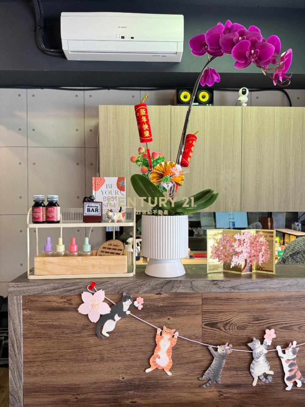 青埔A18成家大璽大露臺黃金店面雙