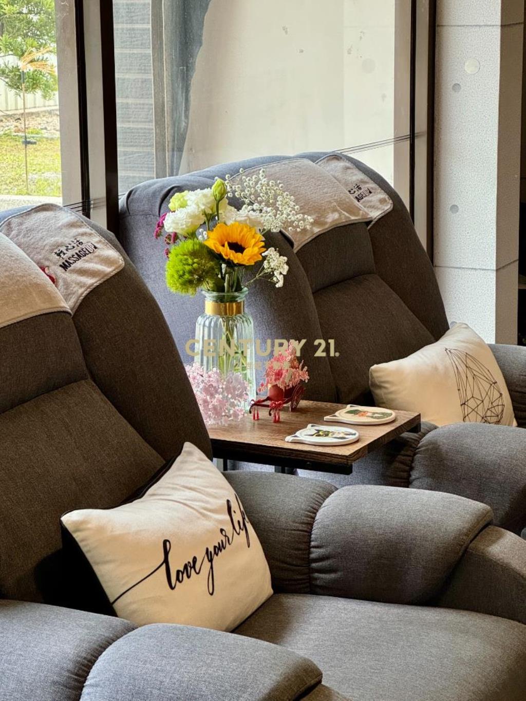 青埔A18成家大璽大露臺黃金店面雙