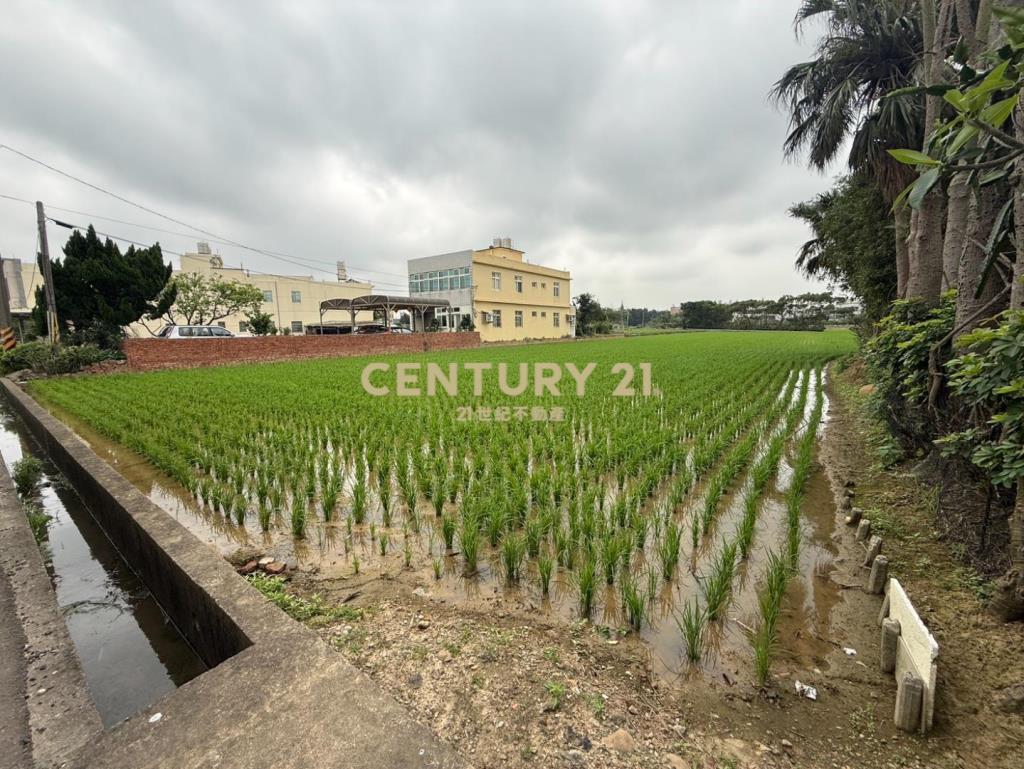 專任 - 新屋甲頭厝破千坪特農