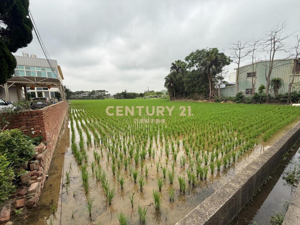 專任 - 新屋甲頭厝破千坪特農
