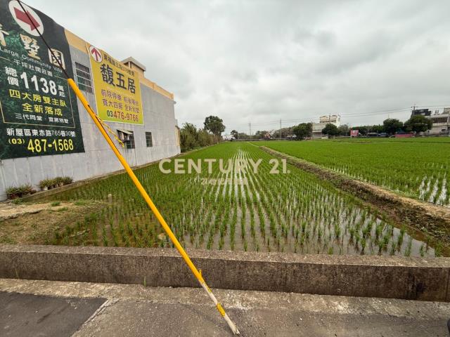 專任 - 【新屋】【正東福路】【農地】