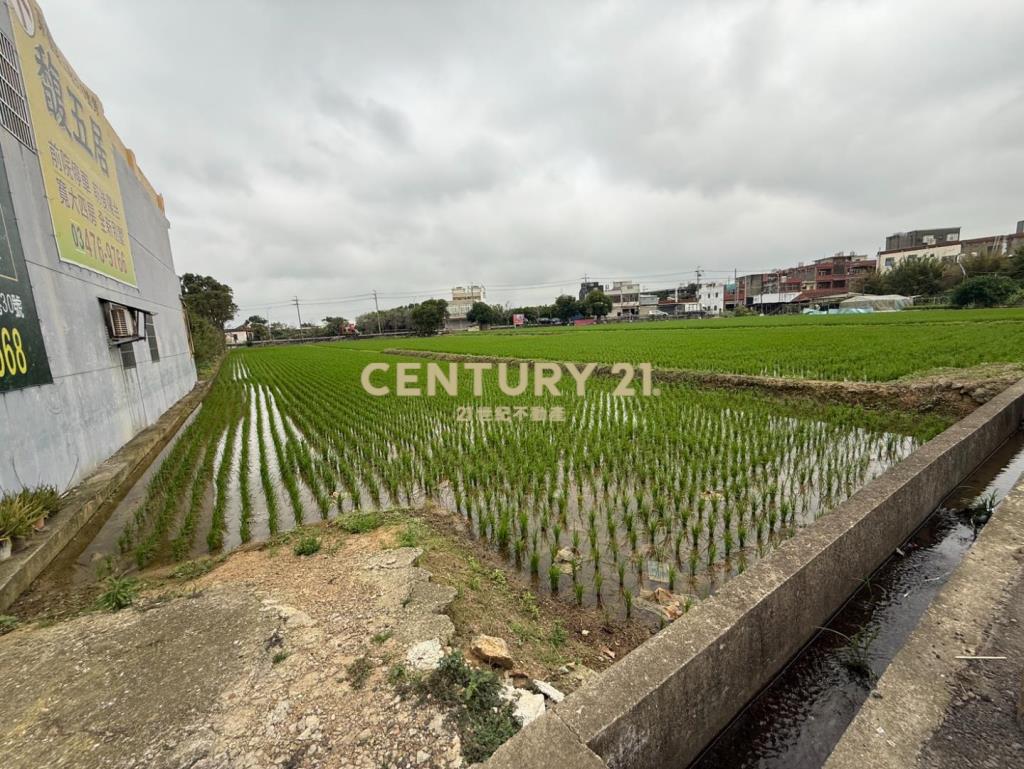 專任 - 【新屋】【正東福路】【農地】
