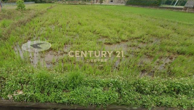 觀音雙面臨路一般農