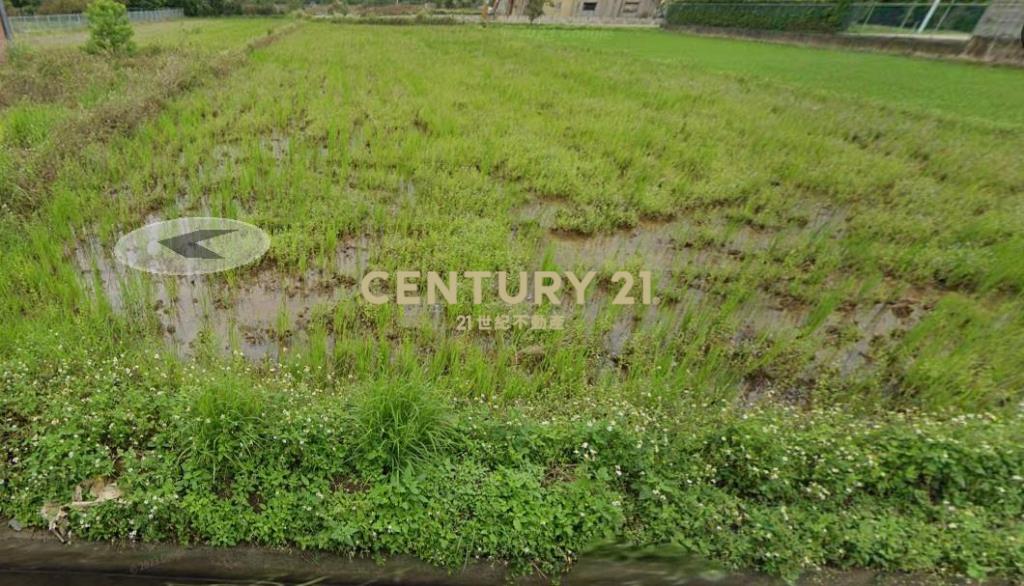 觀音雙面臨路一般農