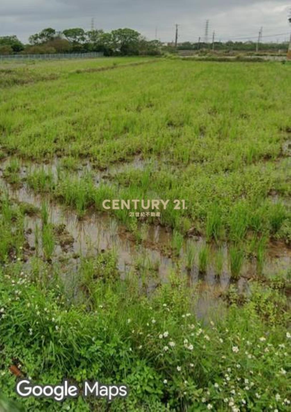 觀音雙面臨路一般農