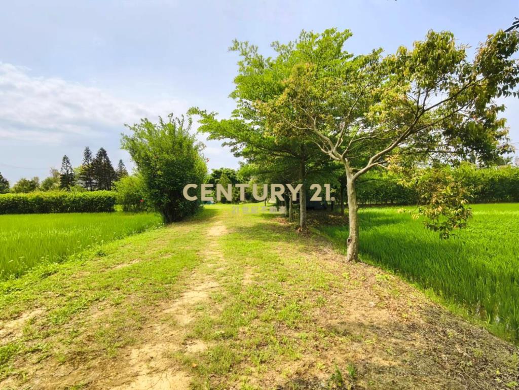 稀有臨路超大面寬一般農平鎮66㊣15米