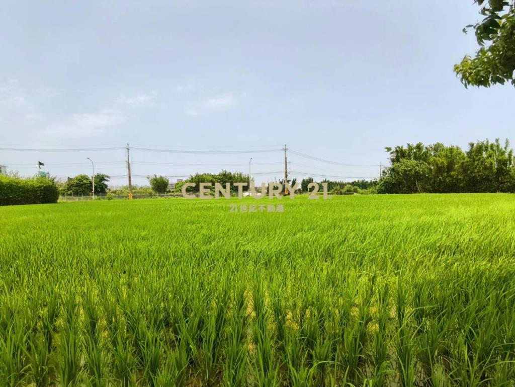 稀有臨路超大面寬一般農平鎮66㊣15米