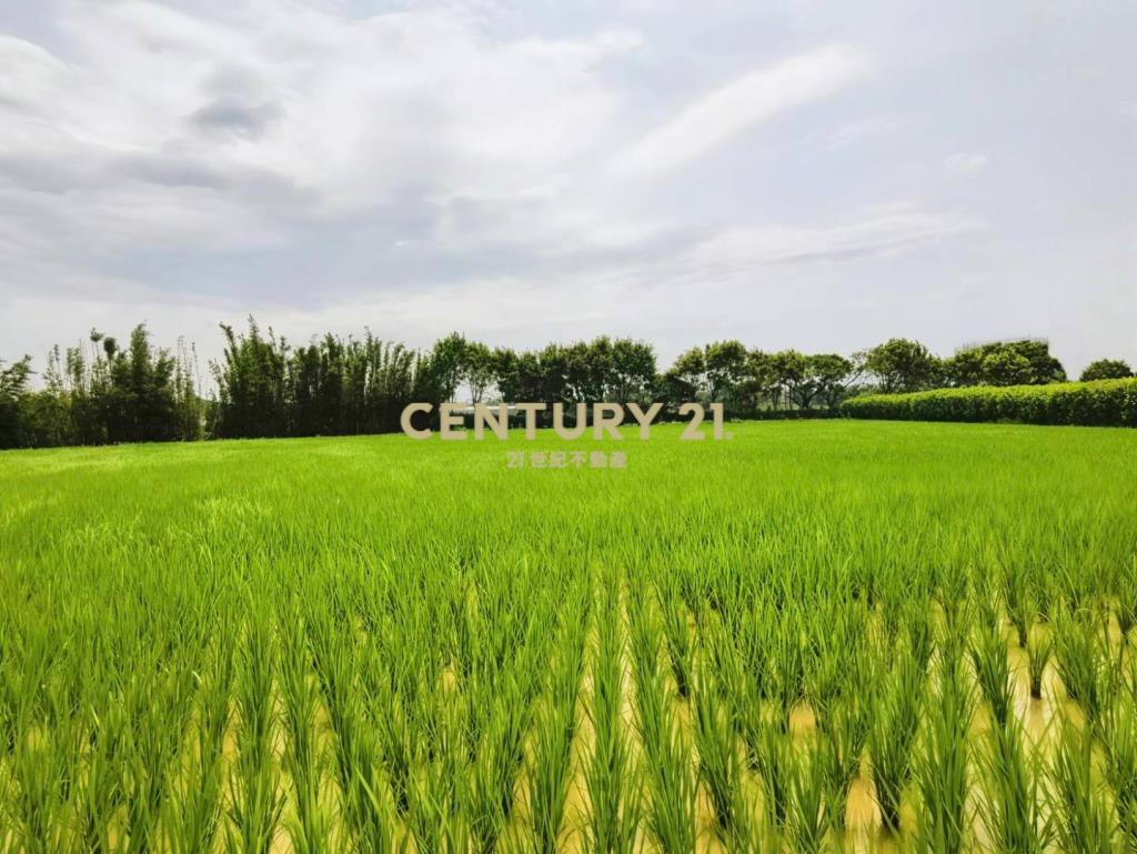 稀有臨路超大面寬一般農平鎮66㊣15米