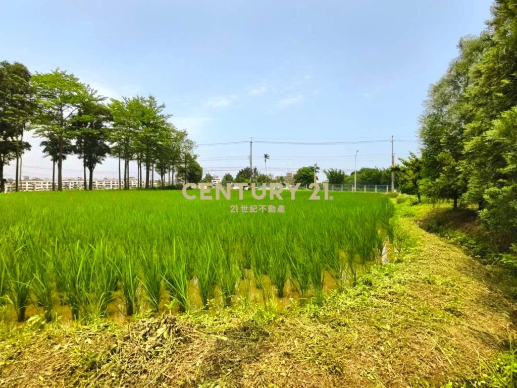 稀有臨路超大面寬一般農平鎮66㊣15米