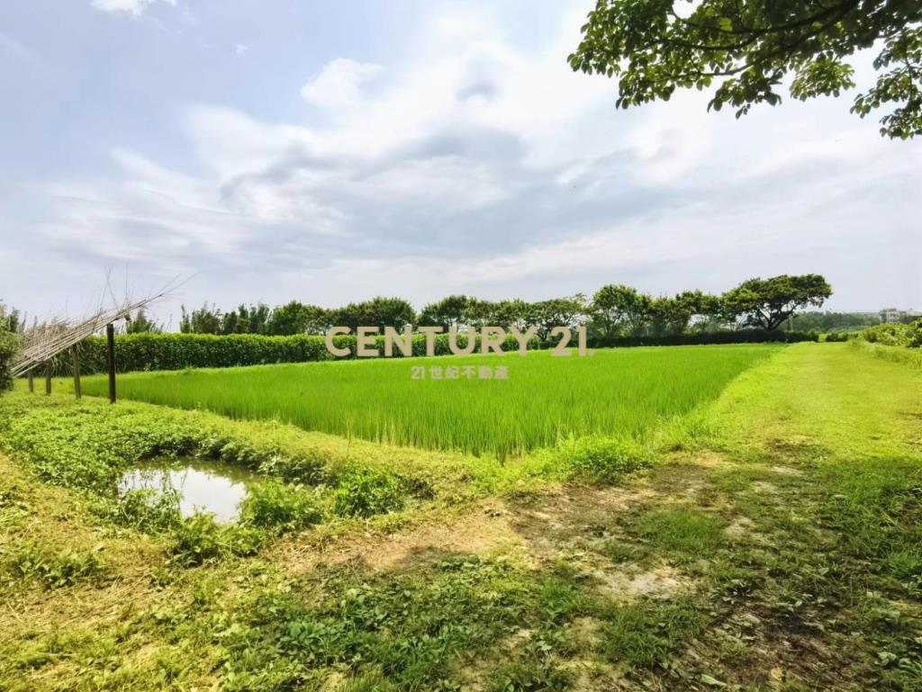 稀有臨路超大面寬一般農平鎮66㊣15米